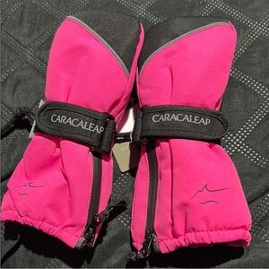 Caracaleap Pink and Black Mittens